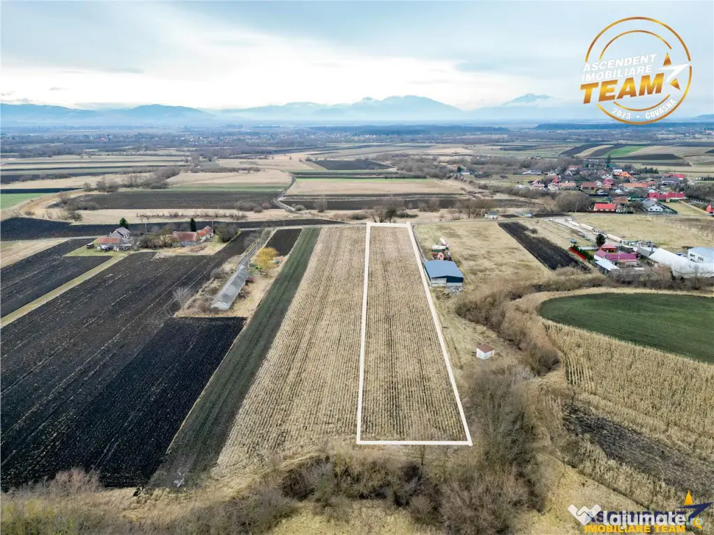 Film! Teren de 5.800 mp, Dobolii de Jos, Covasna