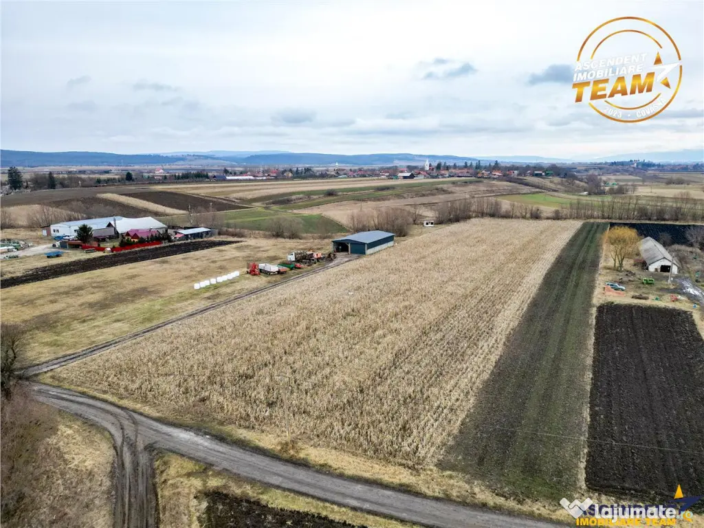 Film! Teren de 5.800 mp, Dobolii de Jos, Covasna