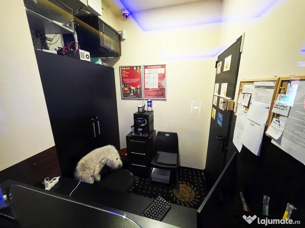 Spatiu Comercial Parter Potcoava de Aur