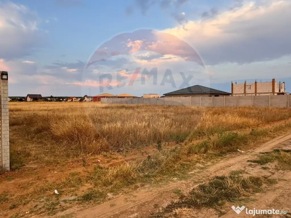 Teren intravilan 681mp Malu Mare / None 