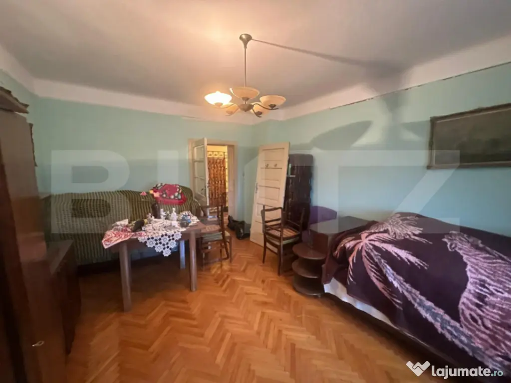 Casă cu teren generos de 6000 mp în Viile Satu Mare – zo 