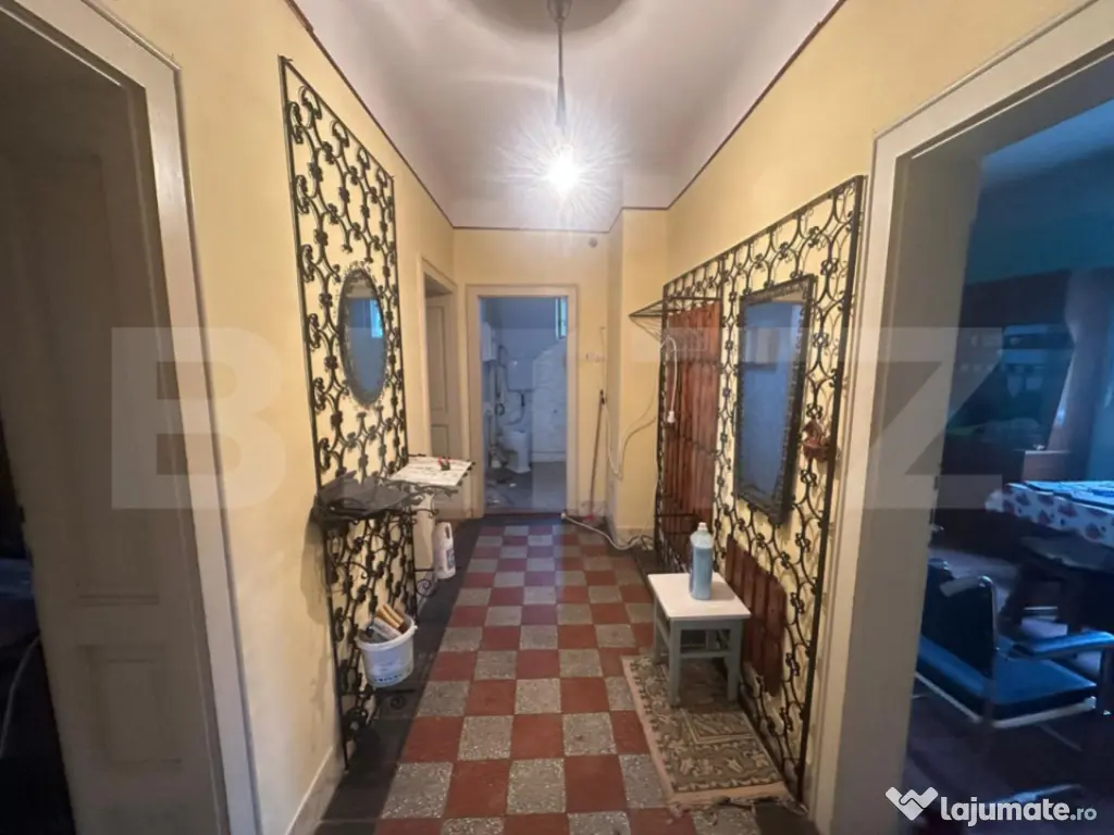 Casă cu teren generos de 6000 mp în Viile Satu Mare – zo 