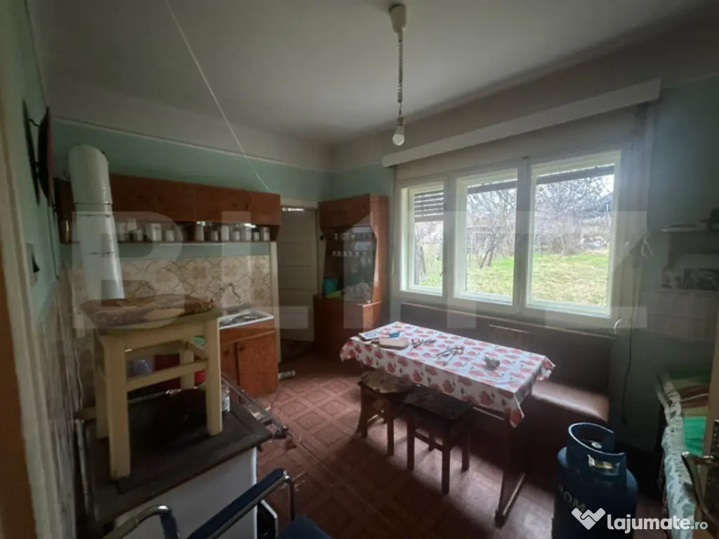 Casă cu teren generos de 6000 mp în Viile Satu Mare – zo 