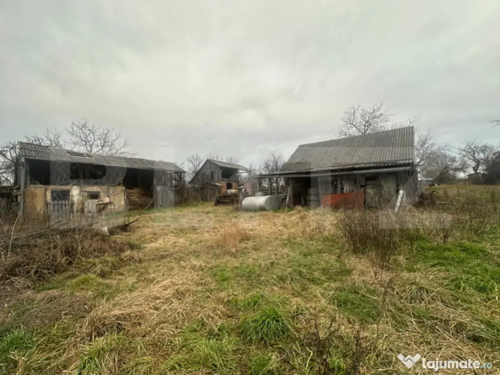 Casă cu teren generos de 6000 mp în Viile Satu Mare – zo 