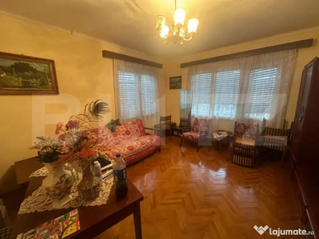 Casă cu teren generos de 6000 mp în Viile Satu Mare – zo 