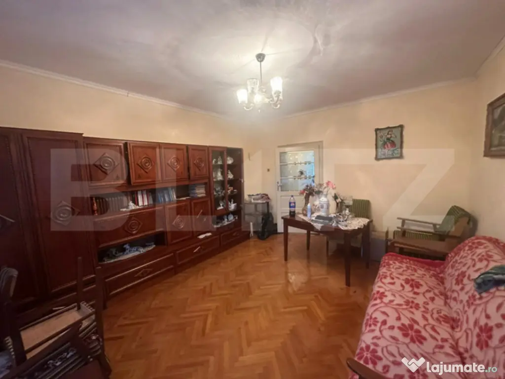 Casă cu teren generos de 6000 mp în Viile Satu Mare – zo 