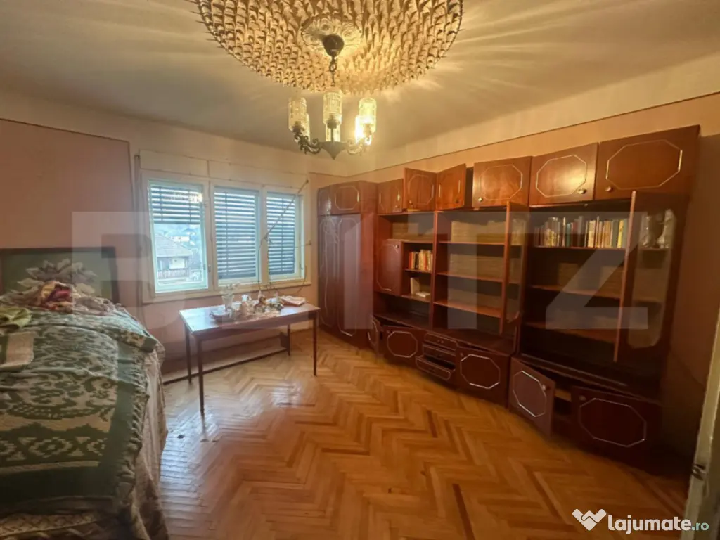 Casă cu teren generos de 6000 mp în Viile Satu Mare – zo 