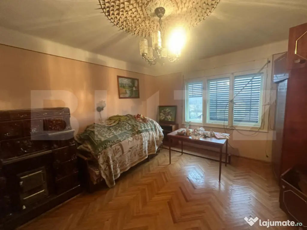 Casă cu teren generos de 6000 mp în Viile Satu Mare – zo 