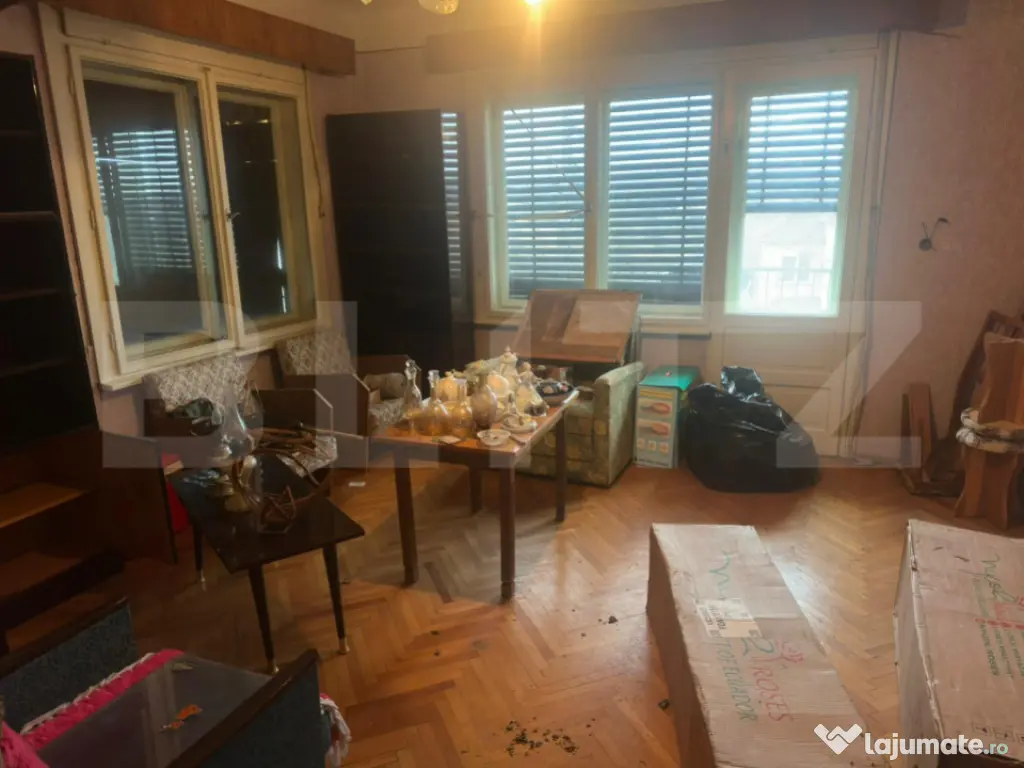 Casă cu teren generos de 6000 mp în Viile Satu Mare – zo 