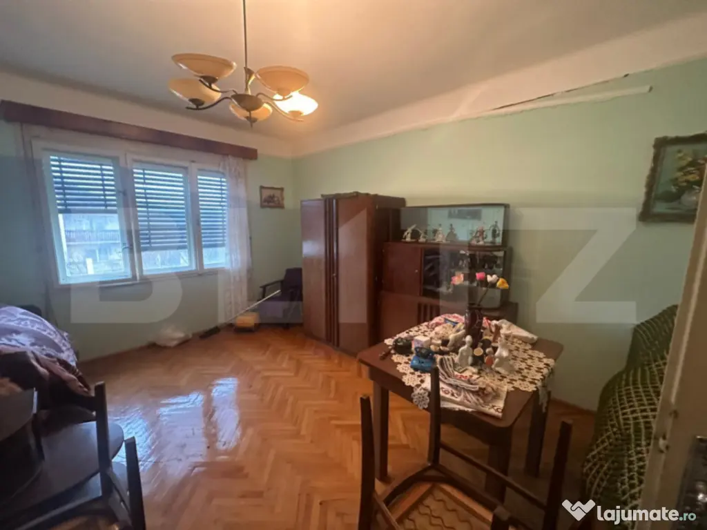 Casă cu teren generos de 6000 mp în Viile Satu Mare – zo 