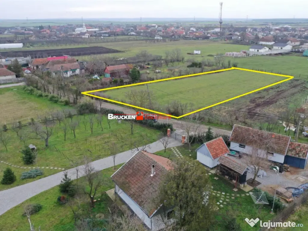Teren intravilan de 2.623 mp in Les – la 20 min de Oradea 