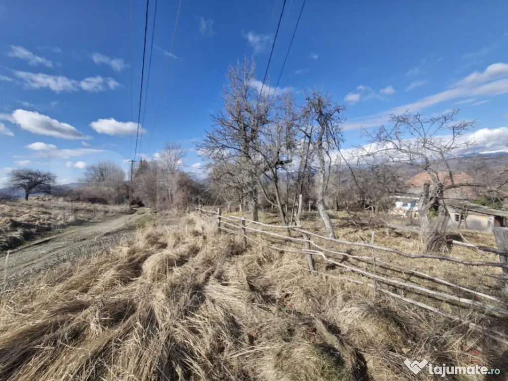 Teren intravilan 10.000 mp | Deschidere 40 m | Zonă de păd 