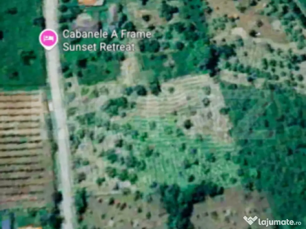 Teren intravilan 10.000 mp | Deschidere 40 m | Zonă de păd 