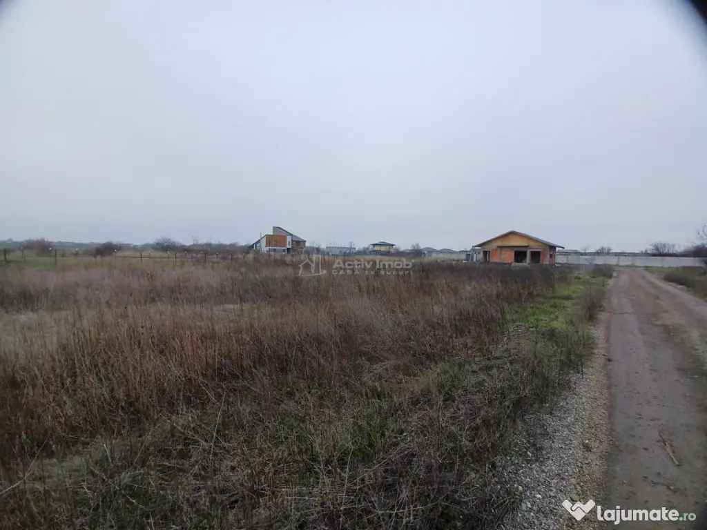 Teren Corbeanca- Balotesti Strada Trei Lacuri 