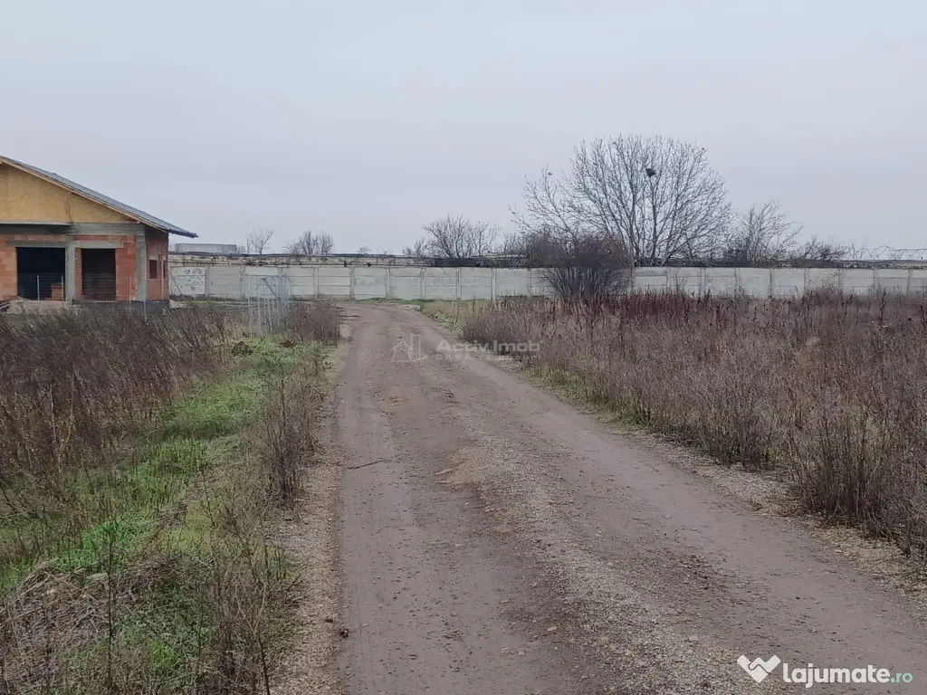 Teren Corbeanca- Balotesti Strada Trei Lacuri 
