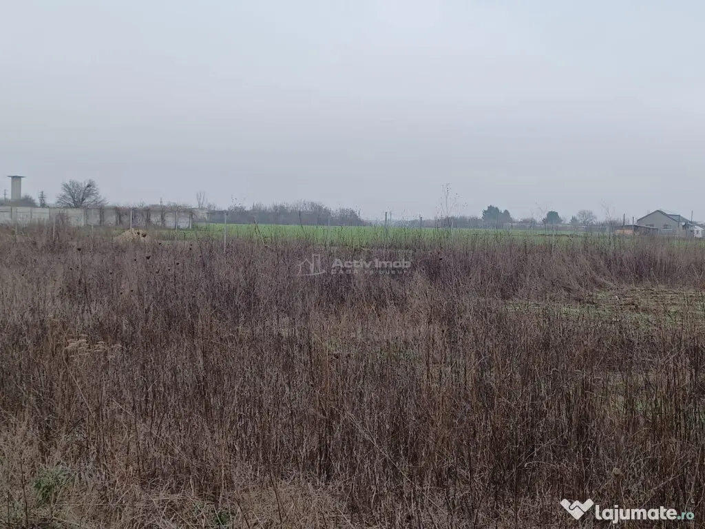 Teren Corbeanca- Balotesti Strada Trei Lacuri 