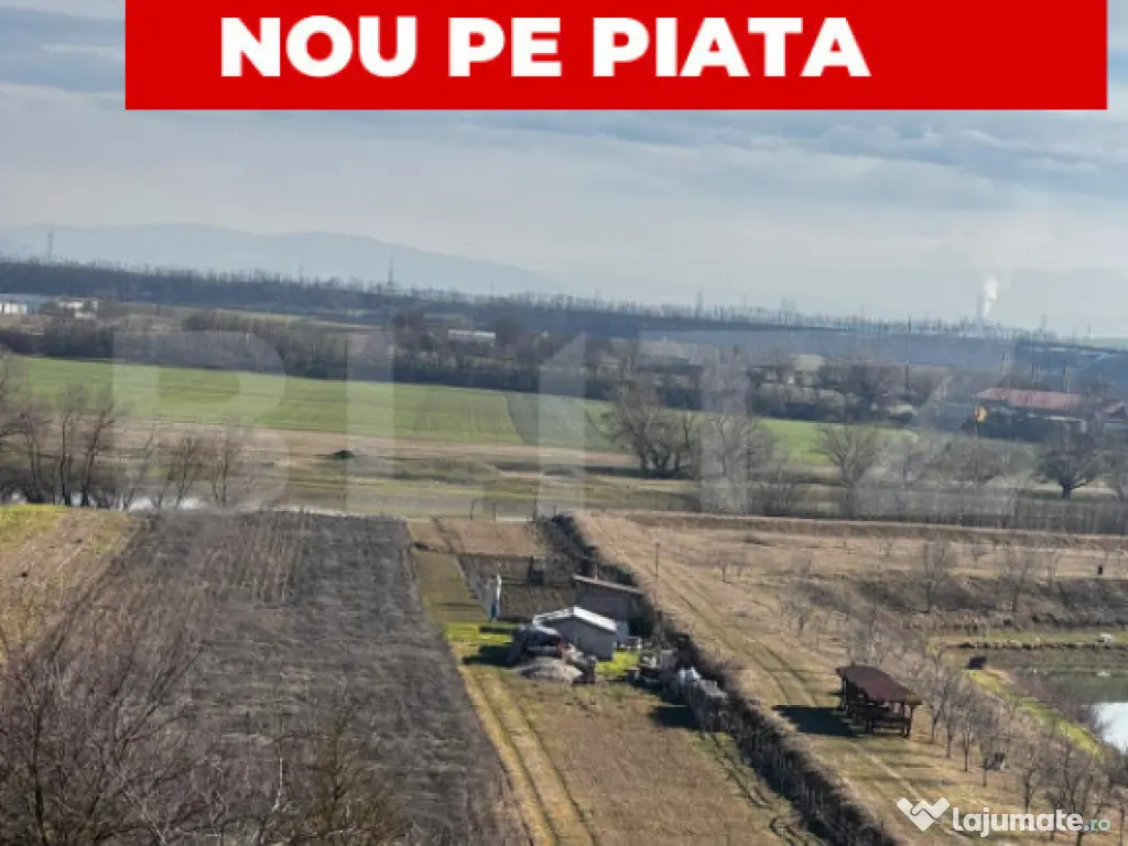 Teren extravilan 3100 mp cu ieșire la râul Mureș