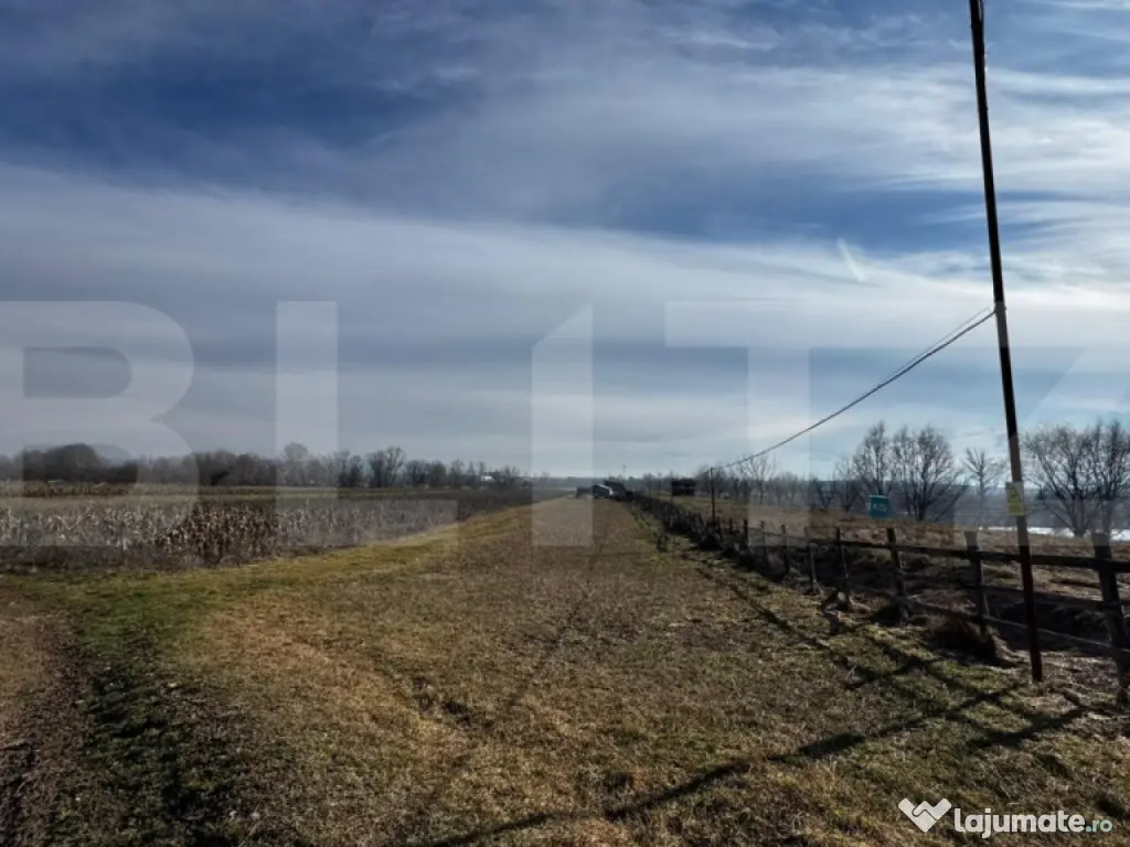 Teren extravilan 3100 mp cu ieșire la râul Mureș