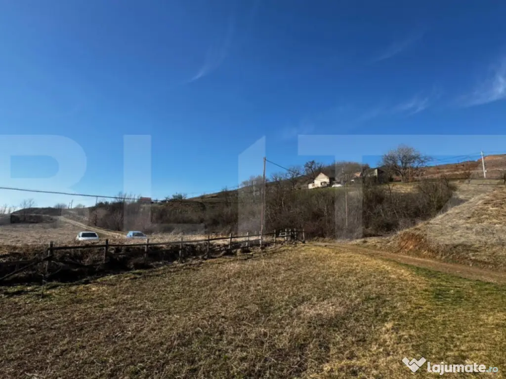 Teren extravilan 3100 mp cu ieșire la râul Mureș