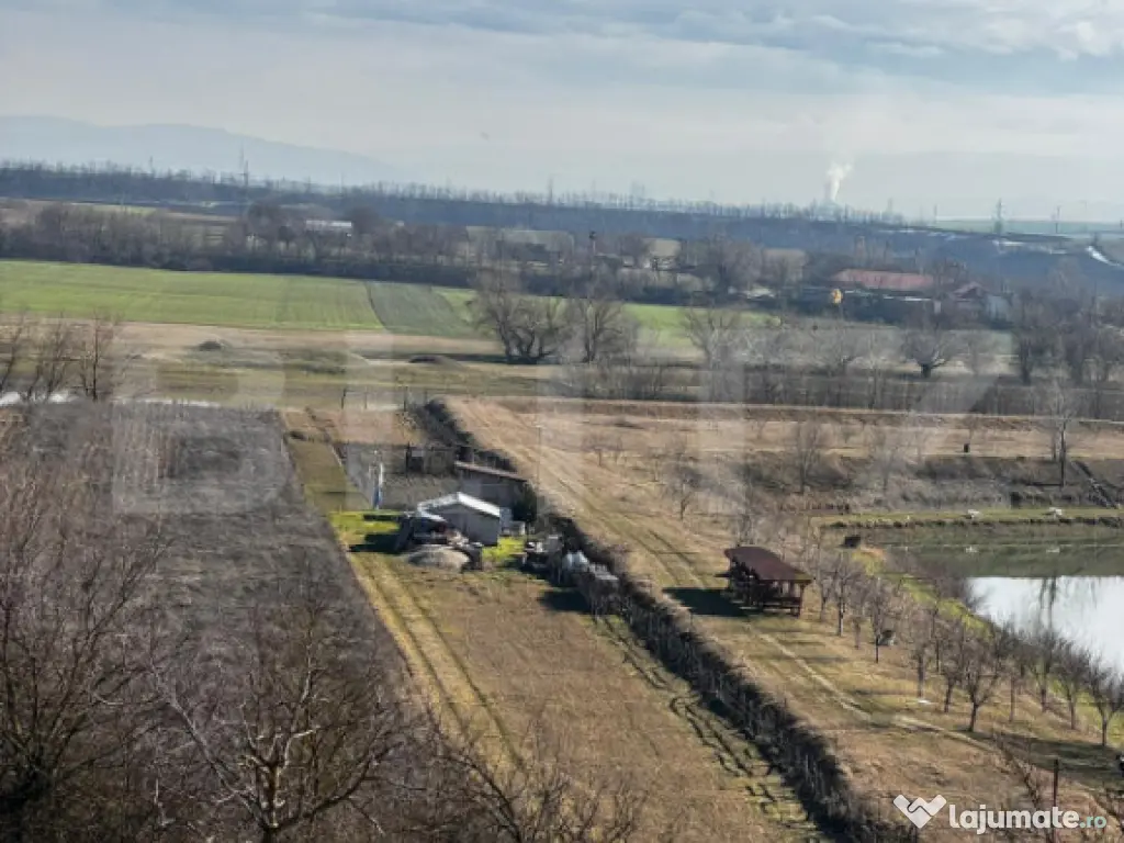 Teren extravilan 3100 mp cu ieșire la râul Mureș