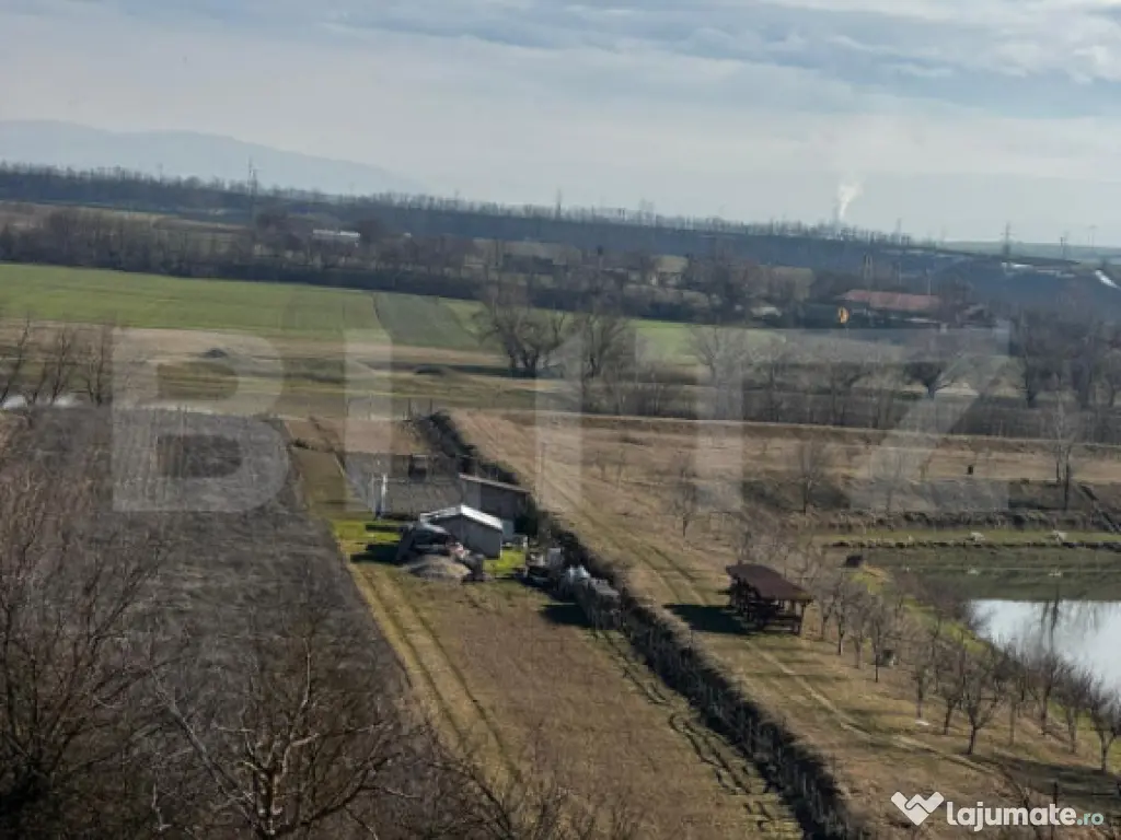 Teren extravilan 3100 mp cu ieșire la râul Mureș