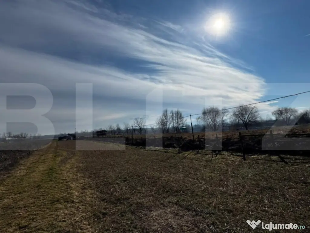 Teren extravilan 3100 mp cu ieșire la râul Mureș