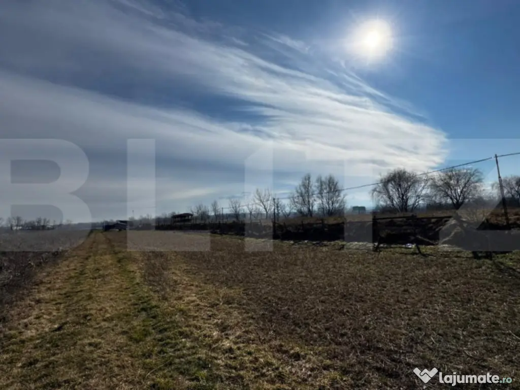 Teren extravilan 3100 mp cu ieșire la râul Mureș