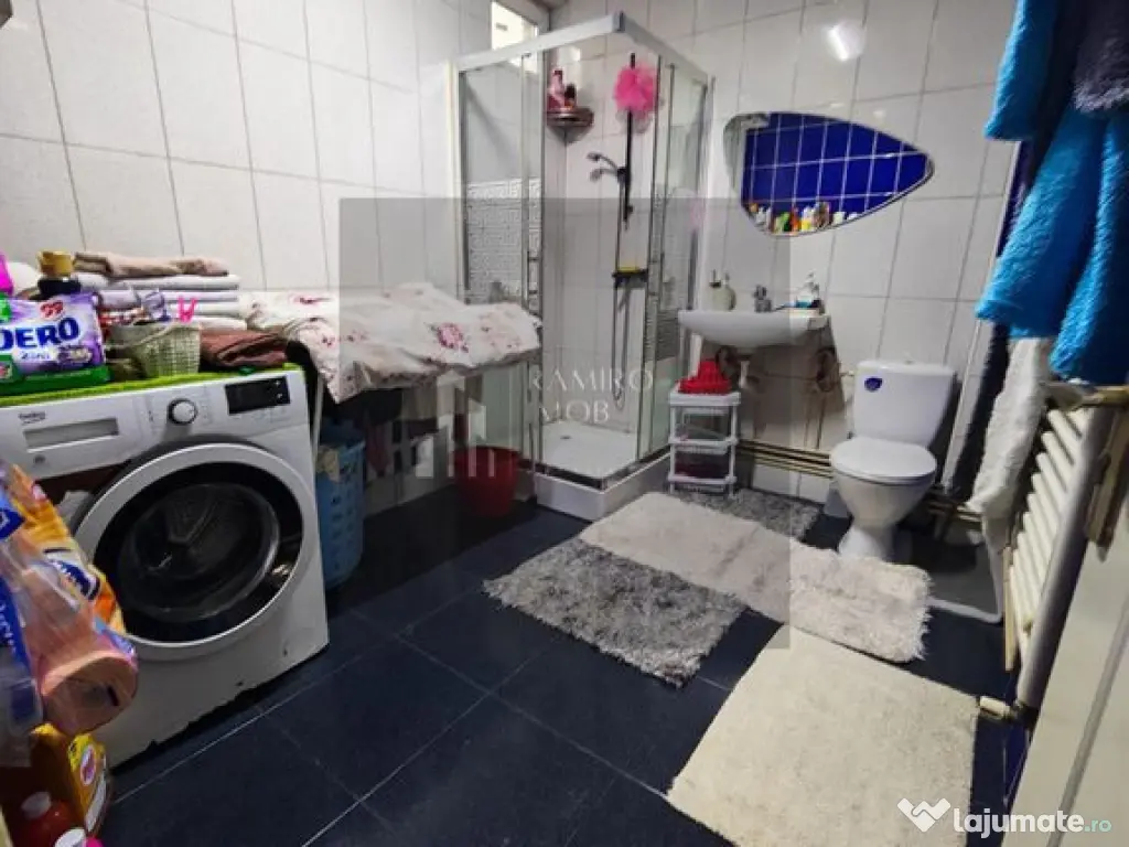 Vila individuala P+1+M Sector 4 / Berceni / Constantin Br...