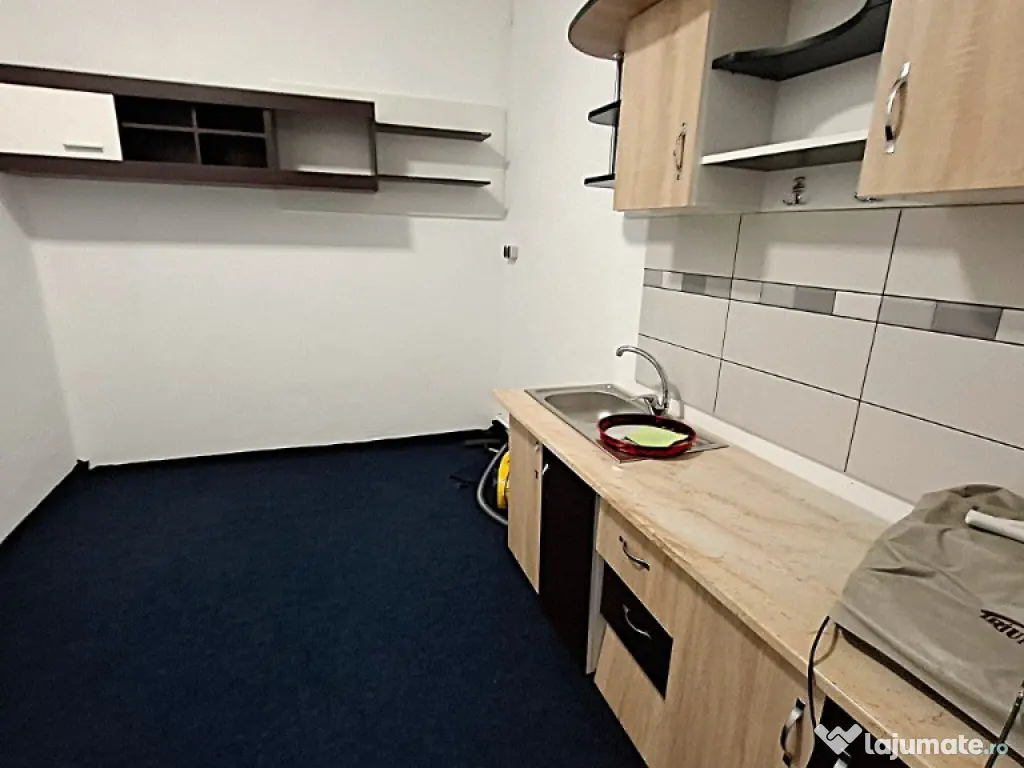 Hală Industrială 900 MP + Teren 5.000 MP- Tănăsoaia-Vrancea