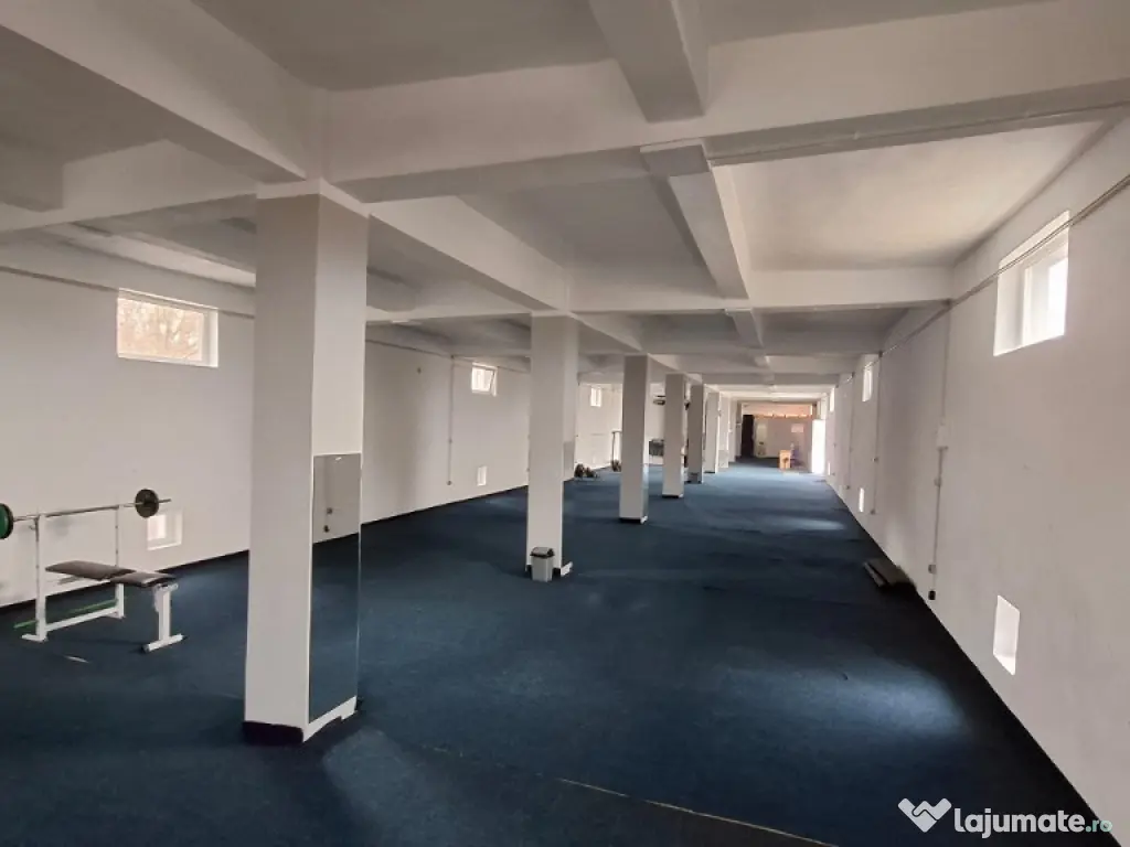 Hală Industrială 900 MP + Teren 5.000 MP- Tănăsoaia-Vrancea