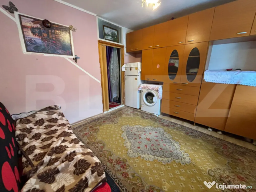 Camera de camin, 17 mp, zona Bularga 