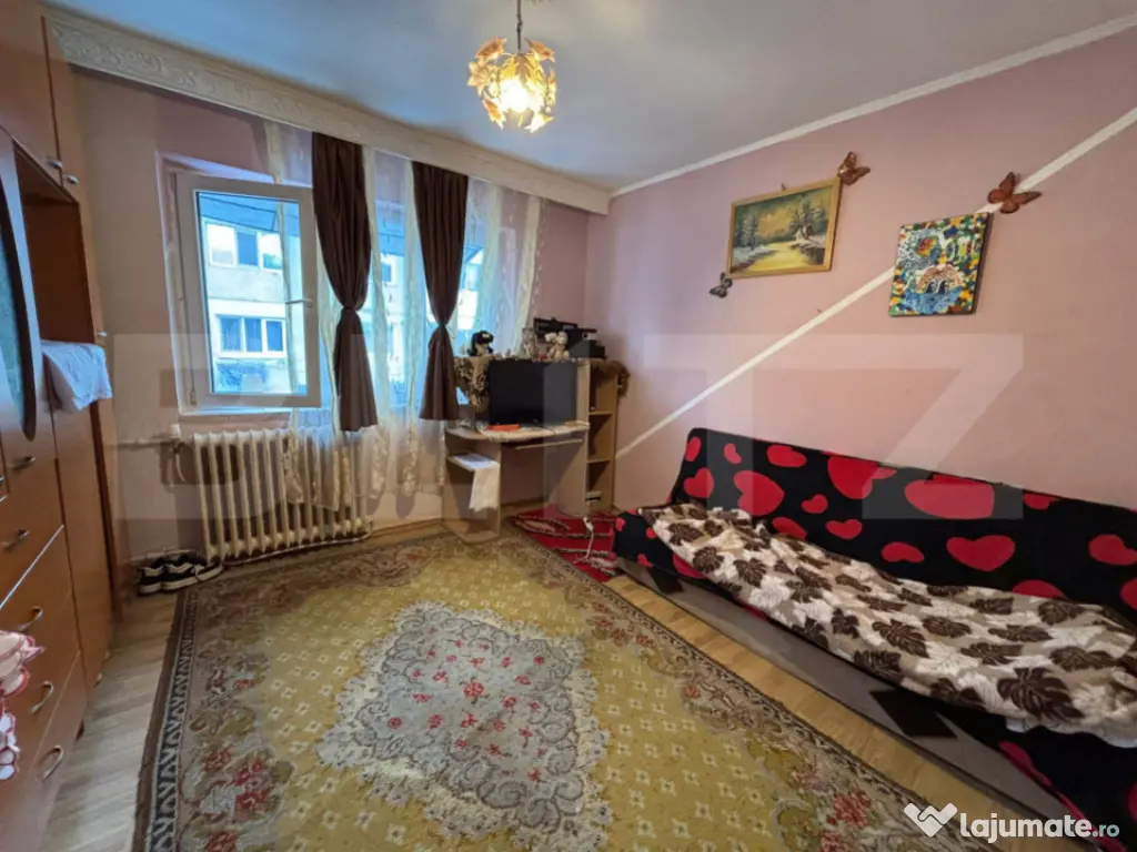 Camera de camin, 17 mp, zona Bularga 