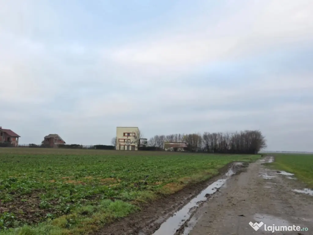 Frumusani-Pasarea '70 loturi cu drum într-o zona in dezvolt