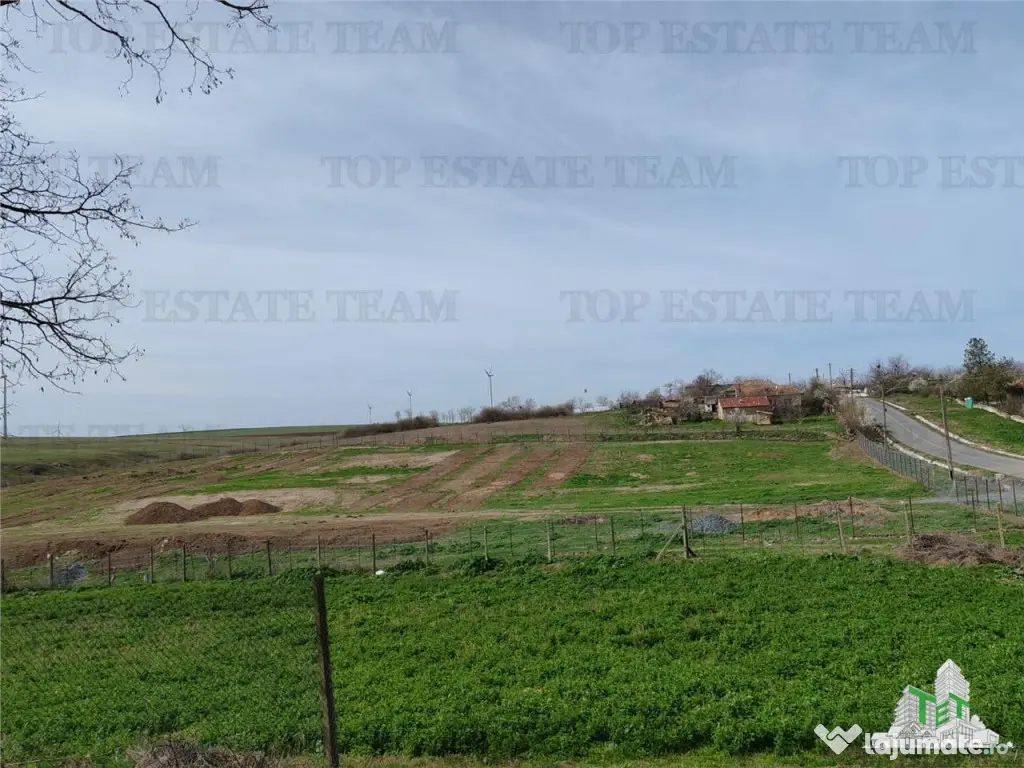 Teren intravilan cu utilitati 4350 mp Pantelimon Jud Constan