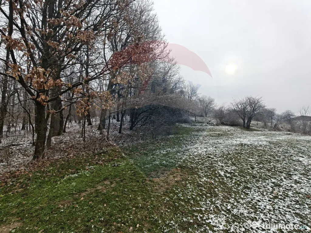 Teren 5,700mp Somcuta Mare / investitie cu potential major 