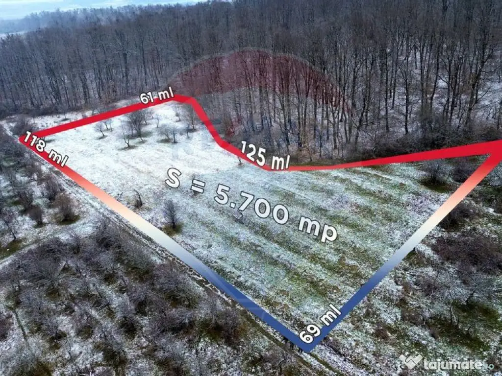 Teren 5,700mp Somcuta Mare / investitie cu potential major 