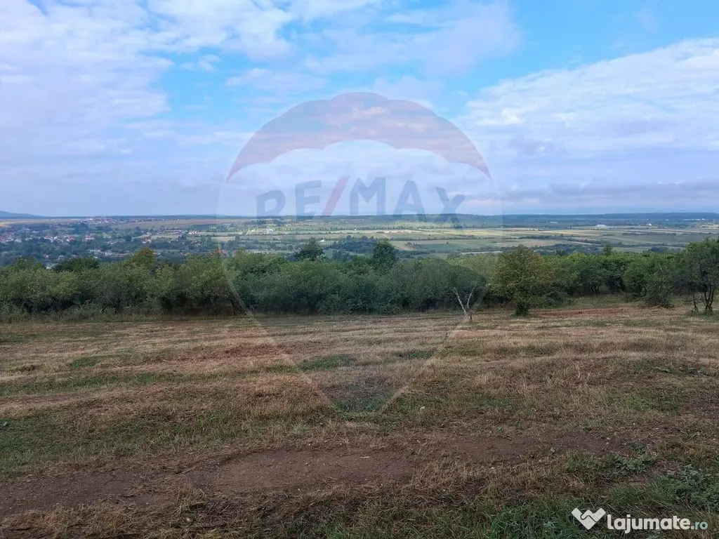 Teren 5,700mp Somcuta Mare / investitie cu potential major 