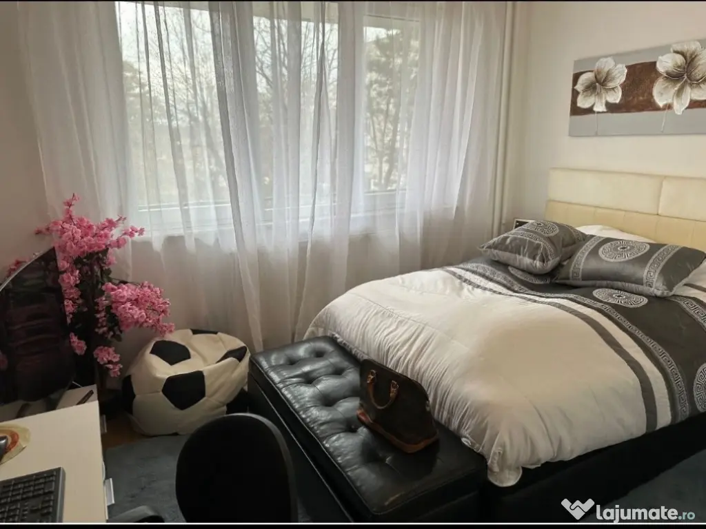 Apartament 2 camere Gheorgheni-Aleea Bizusa 