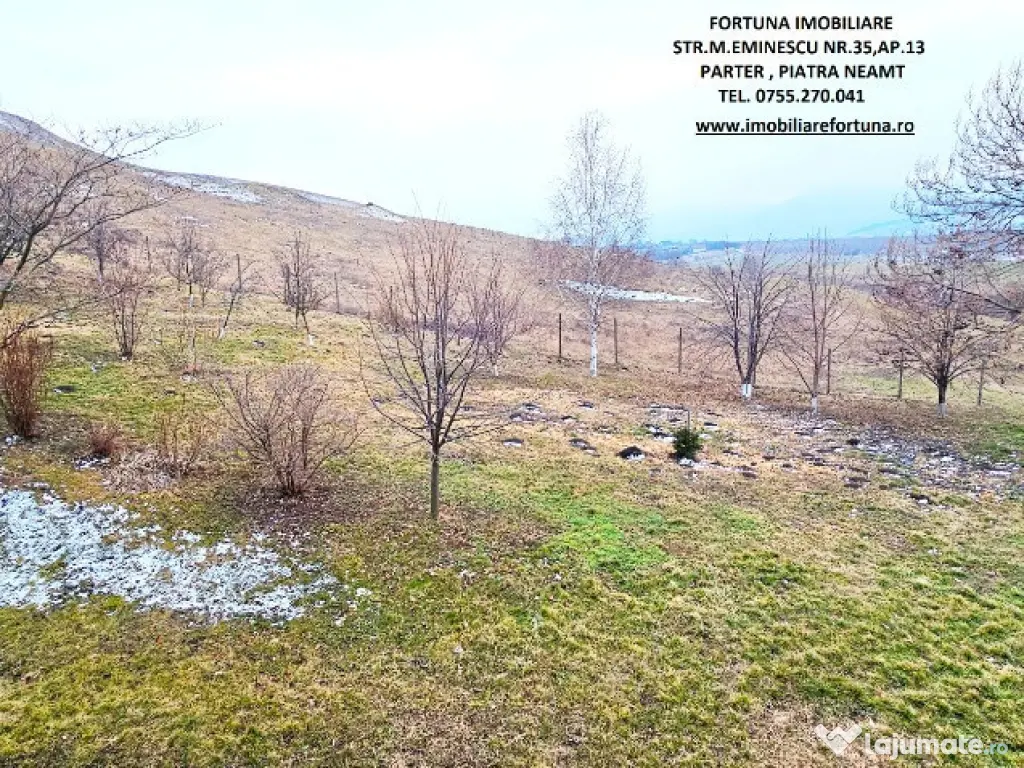 Vila cocheta,beci si livada,cadru natural intim,atractiv,zona Ciritei 