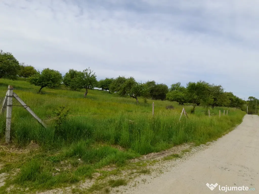 Teren zona drumul Sigmirului 