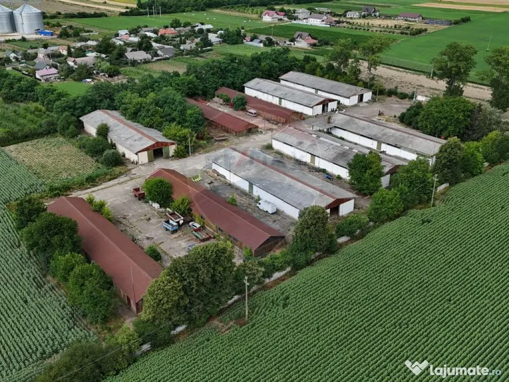 Platformă industrială 33.051 mp teren | 7.120 mp hale |... 