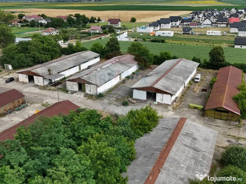 Platformă industrială 33.051 mp teren | 7.120 mp hale |... 