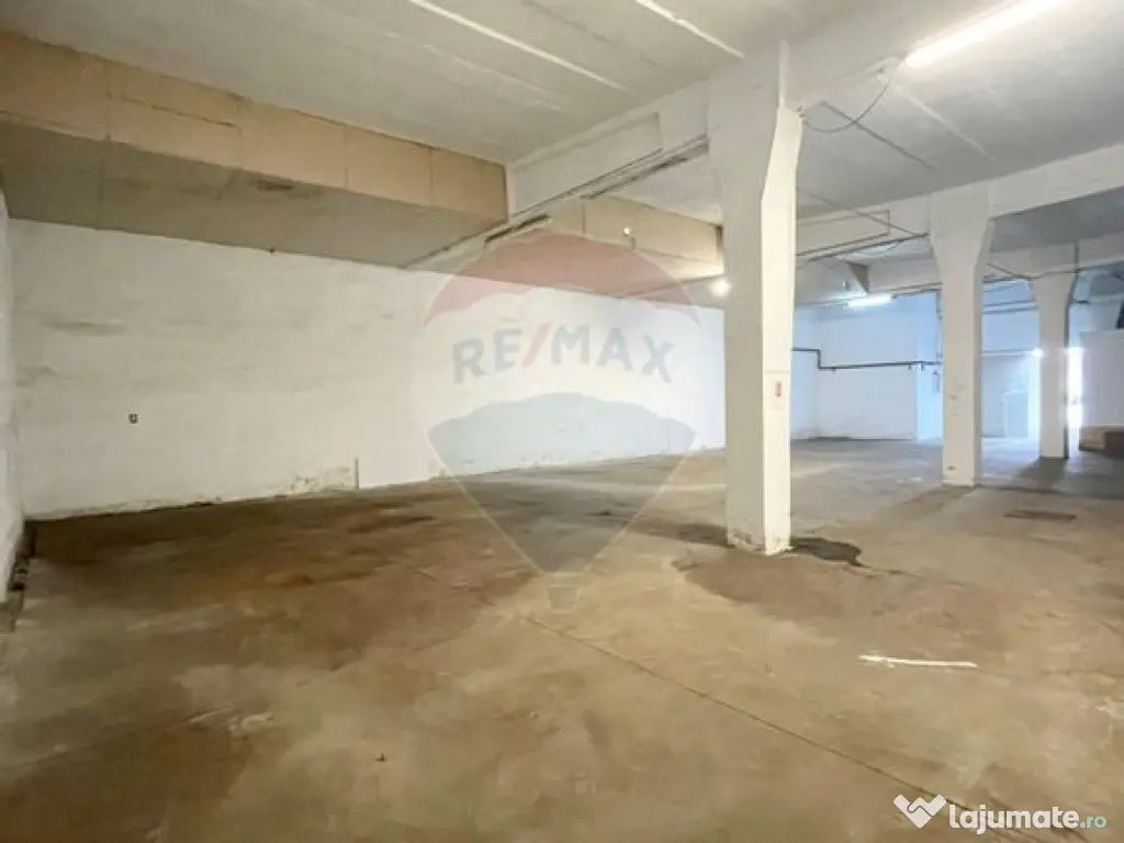 Spațiu industrial Parc Uta 1 - 333 mp