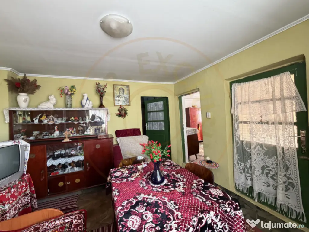 Casa Batraneasca la 8 km de Topoloveni 