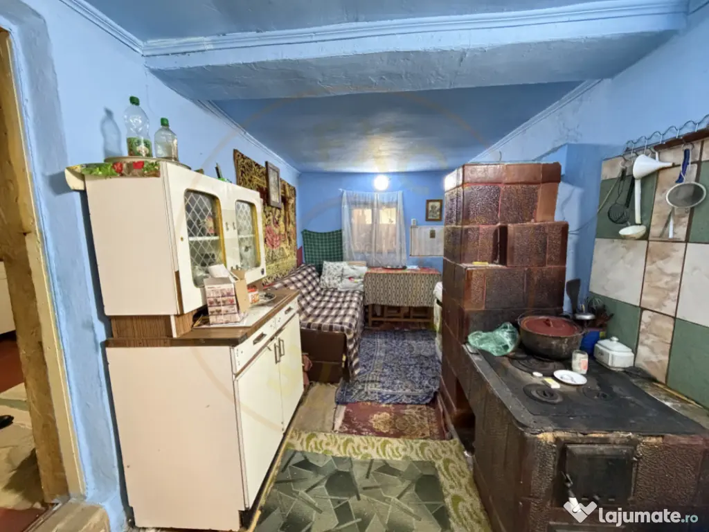 Casa Batraneasca la 8 km de Topoloveni 