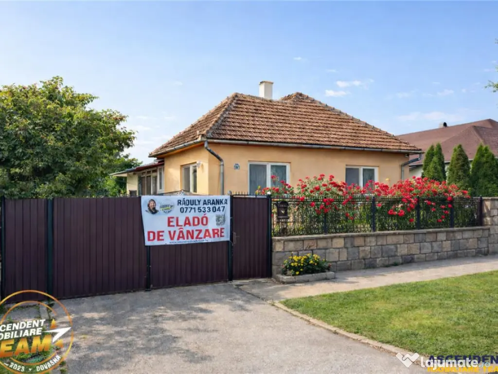 FILM3D! Casa ospitaliera,curte si gradina asortata,arie lini 