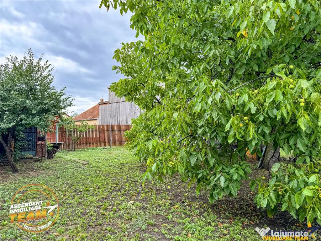 FILM3D! Casa ospitaliera,curte si gradina asortata,arie lini 