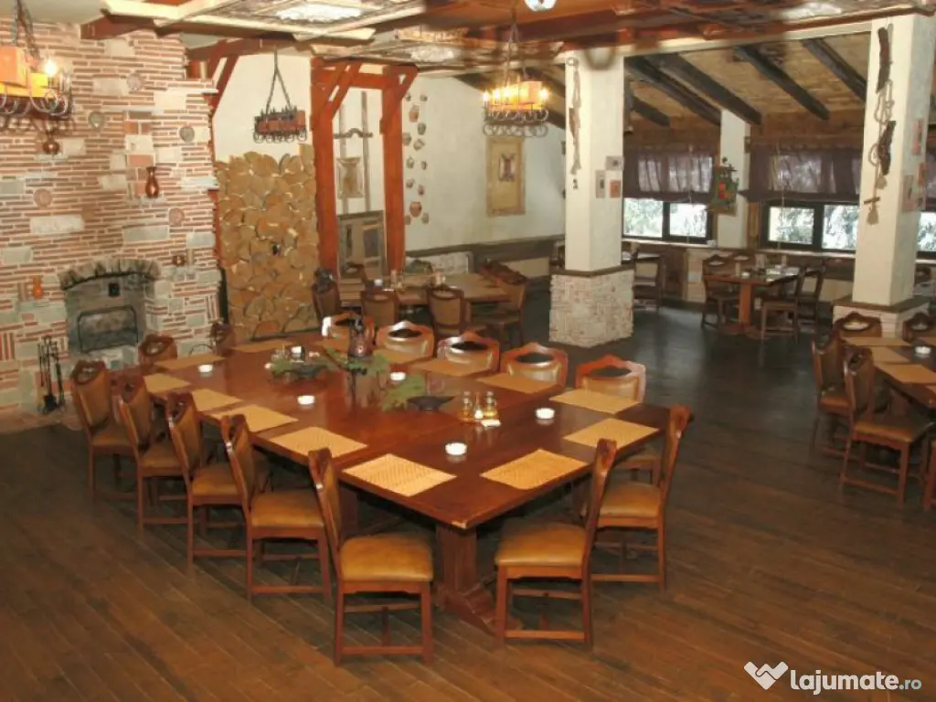 Proprietate HoReCa, 300 mp, zona Central