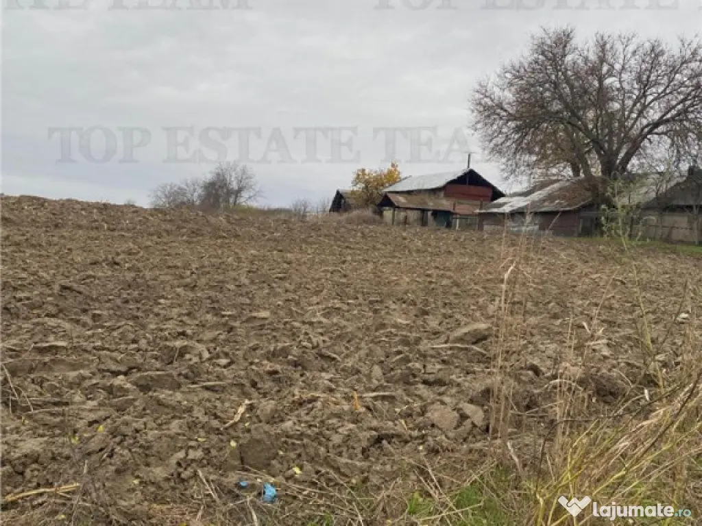 Teren 12223 mp in Prahova