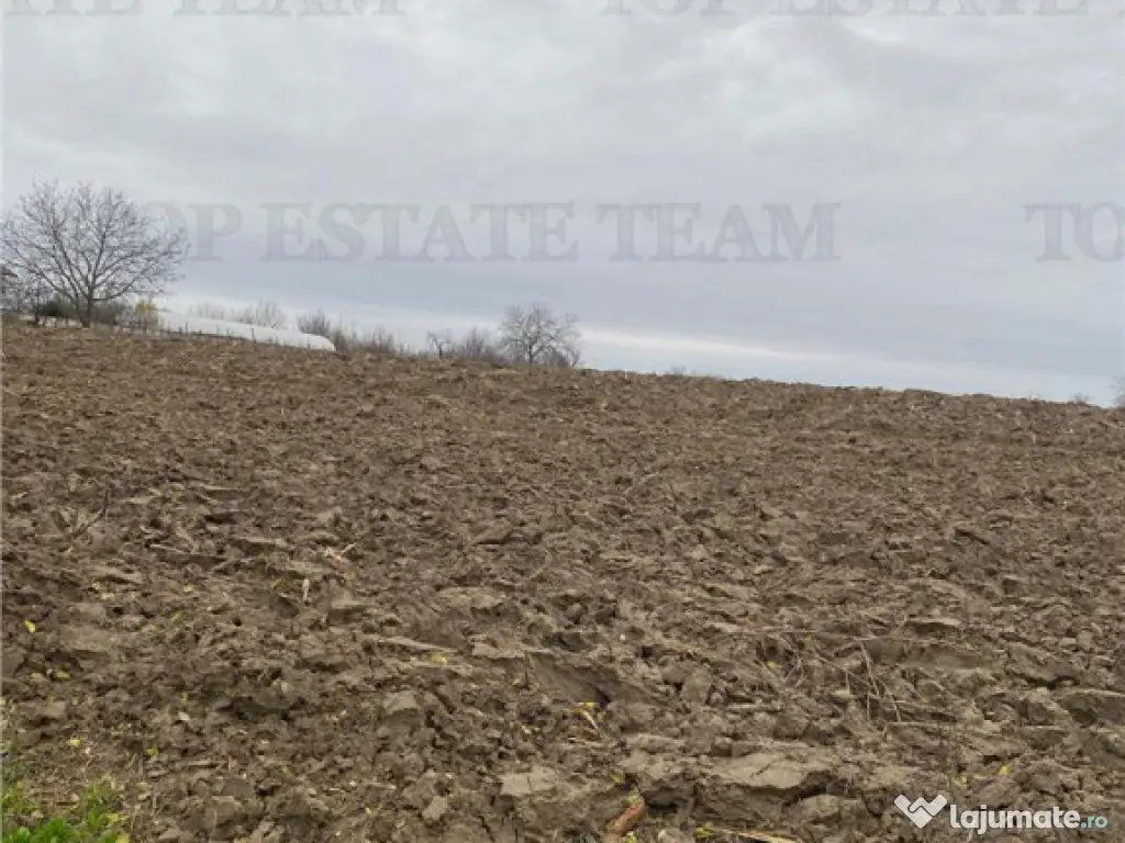 Teren 12223 mp in Prahova